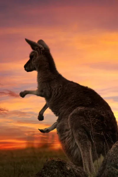 Australia